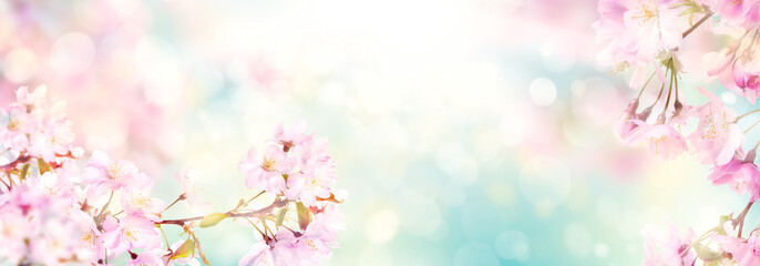 makeup balance 什么意思